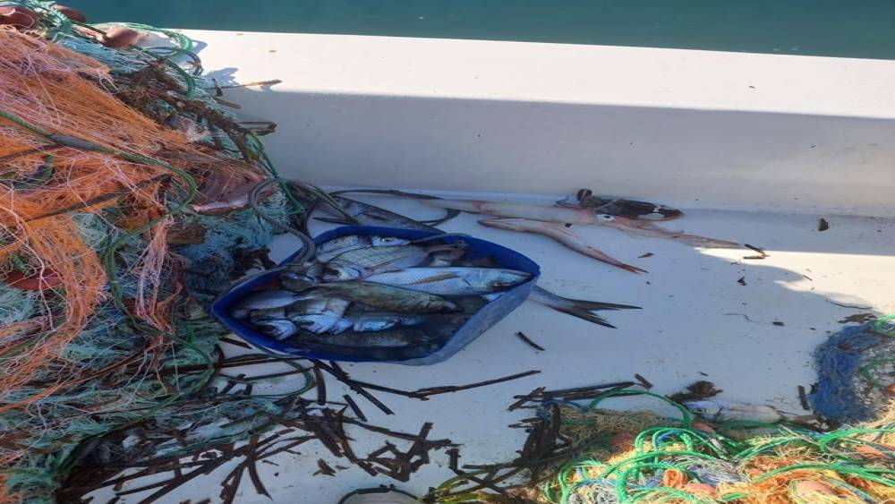 Didim’de su ürünleri kontrolü