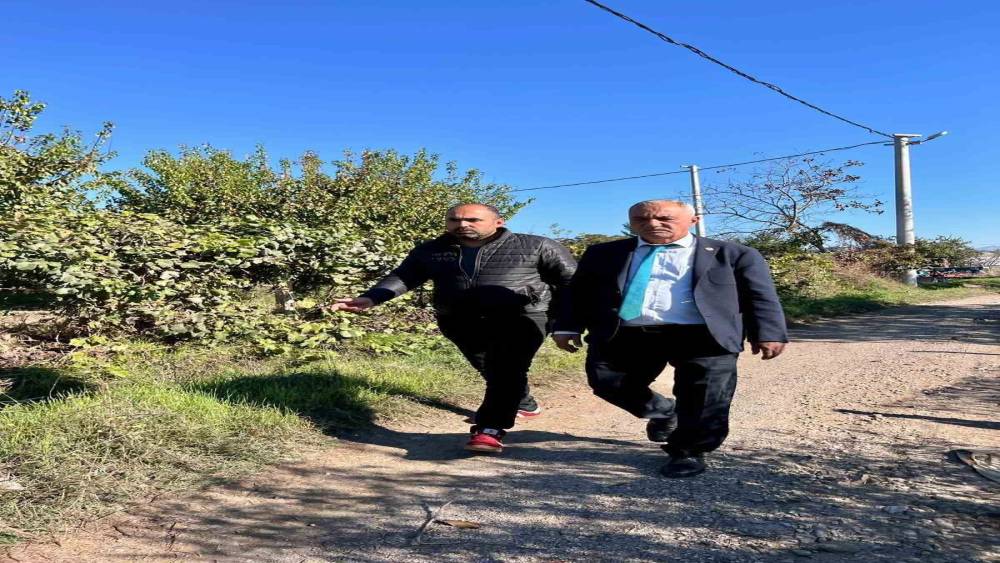 Başkan Yıldırımkaya, ova yollarında incelemelerde bulundu