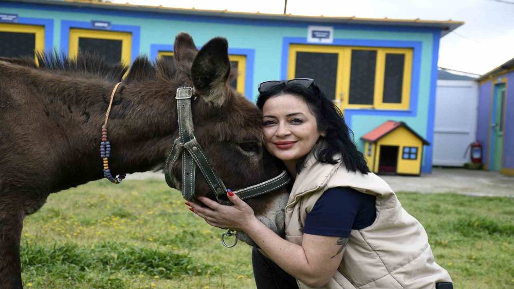 Kuşadası&rsquo;ndan saplandığı &ccedil;amurdan kurtarılan eşek koruma altına alındı