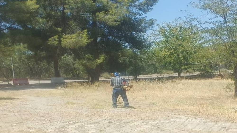 Dünyaca ünlü antik kentte kuru otlar temizlendi
