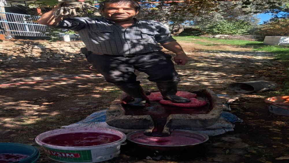 Aydın’da narlar geleneksel yöntemle ekşiye dönüşüyor