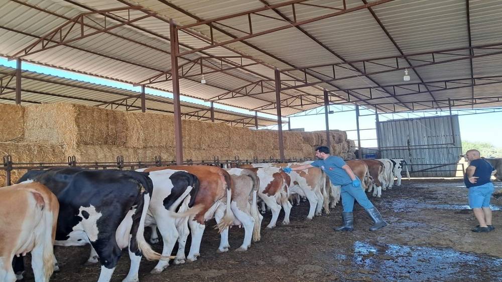 Nazilli’de 13 mahalle karantinaya alındı