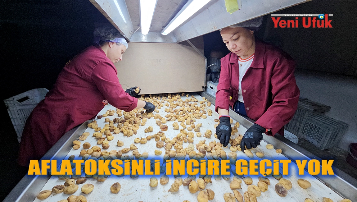 AFLATOKSİNLİ İNCİRE GEÇİT YOK
