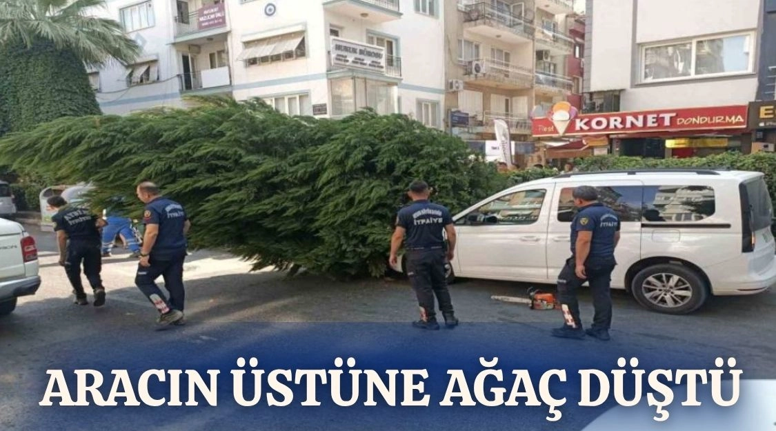 AĞAÇ ARACIN ÜSTÜNE DEVRİLDİ 