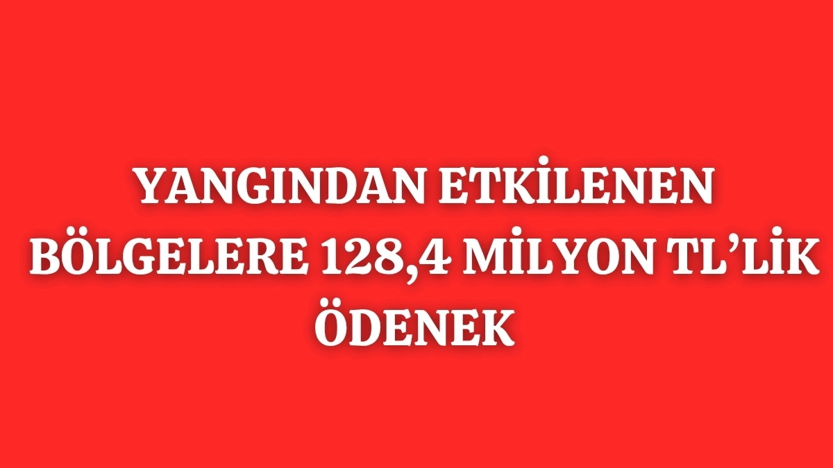 ALİ YERLİKAYA AÇIKLADI 