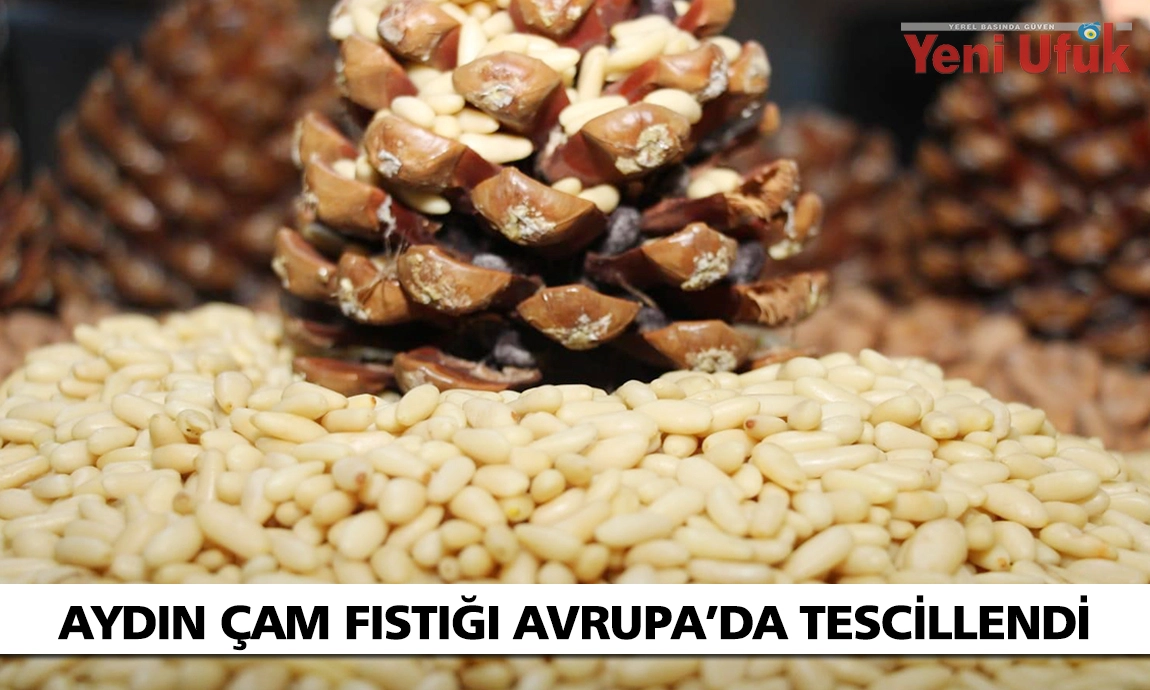 Aydın Çam Fıstığı, Avrupa Birliği tesciliyle taçlandı