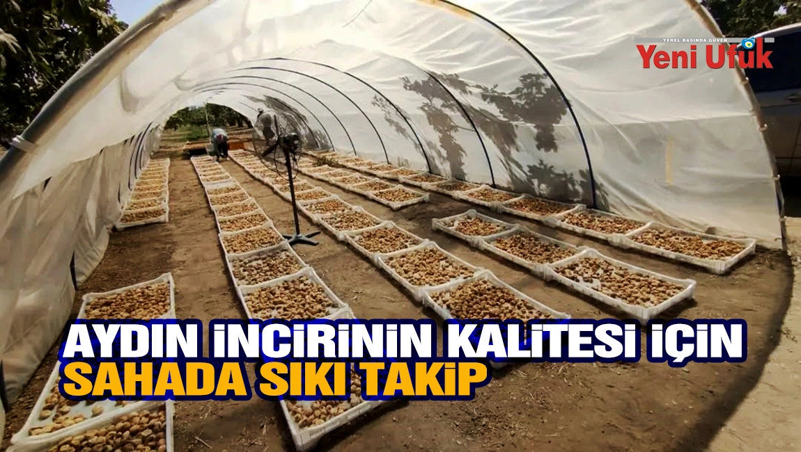 Aydın İncirinin Kalitesi İ&ccedil;in Sahada Sıkı Takip