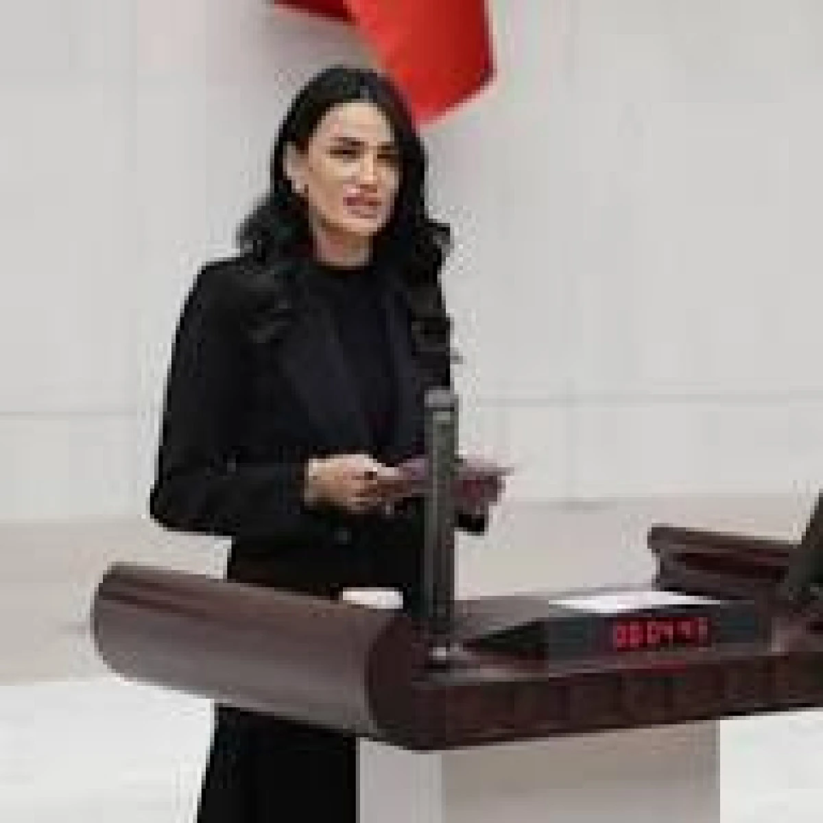 AYDIN MİLLETVEKİLİMİZ SN. SEDA SARIBAŞ&rsquo;IN 19 MAYIS MESAJI 19 Mayıs