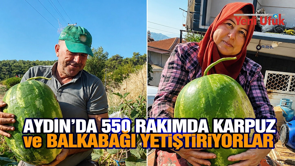 Aydın&rsquo;da 550 Rakımda Karpuz ve Balkabağı Yetiştiriyorlar