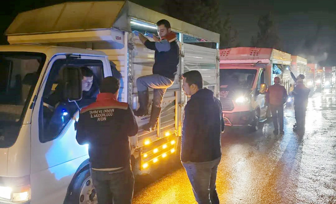 Aydın&rsquo;da hayvan pazarlarında sıkı denetim