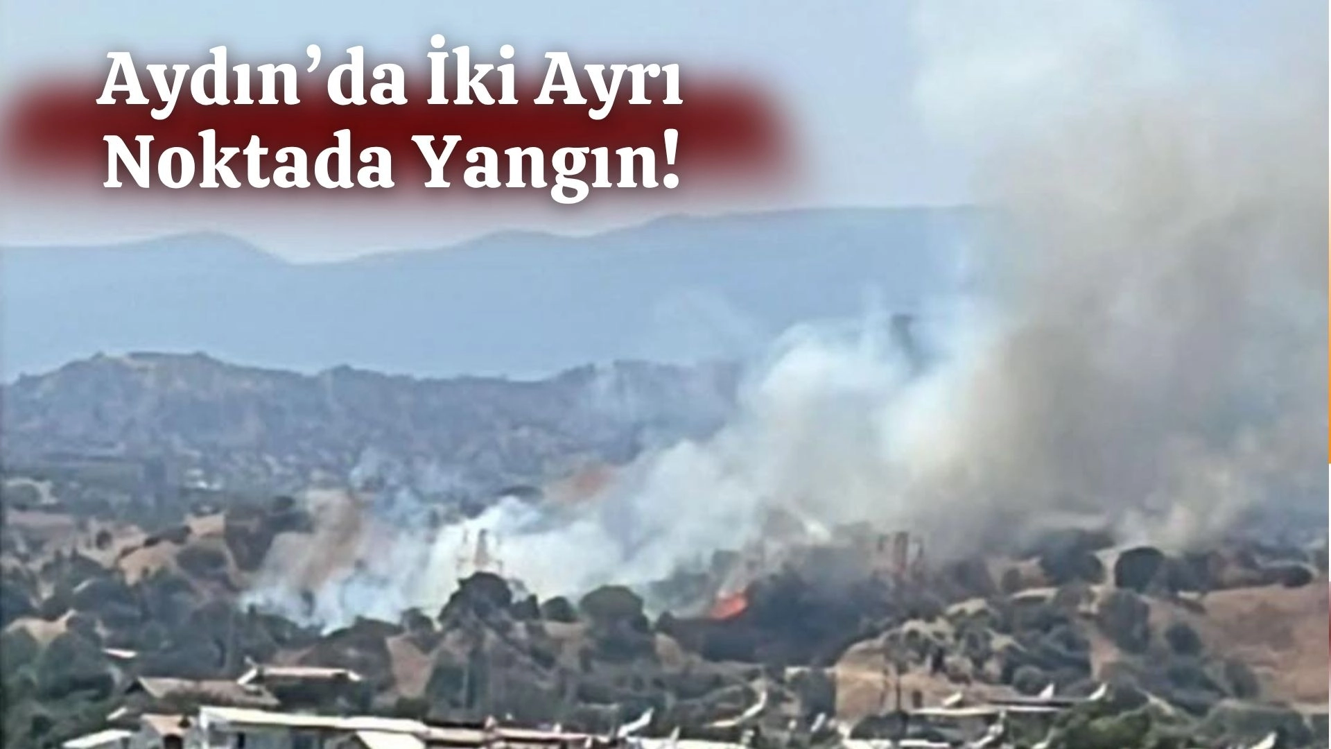 AYDIN'DA İKİ AYRI NOKTADA YANGIN BAŞLADI 