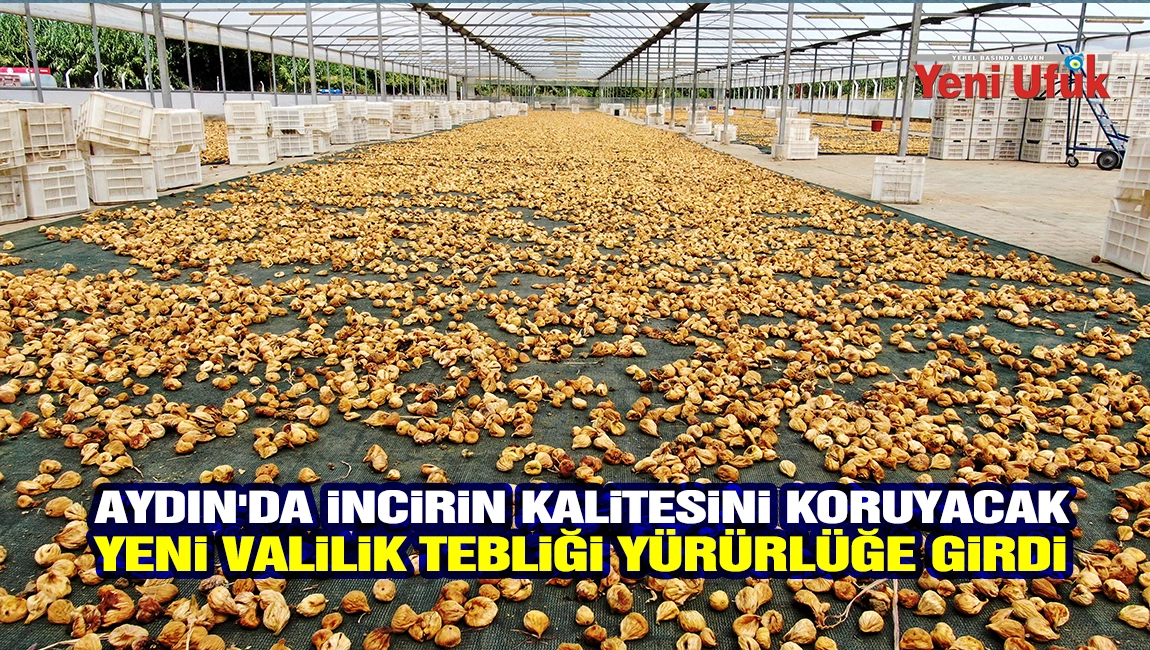 Aydın&rsquo;da incirin kalitesini koruyacak yeni Valilik tebliği y&uuml;r&uuml;rl&uuml;ğe girdi
