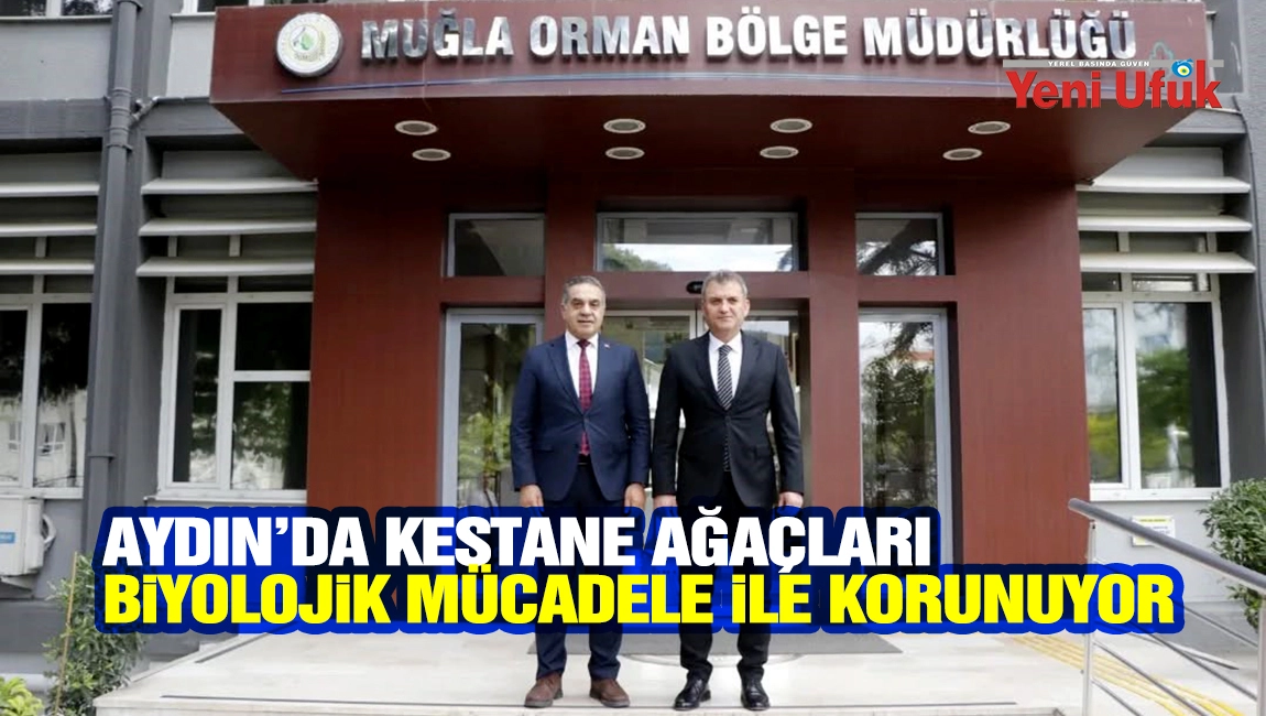 AYDIN&rsquo;DA KESTANE AĞA&Ccedil;LARI BİYOLOJİK M&Uuml;CADELE İLE KORUNUYOR