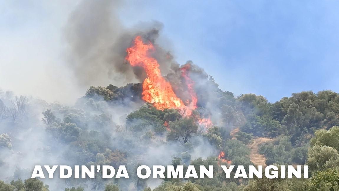 AYDIN’DA ORMAN YANGINI 