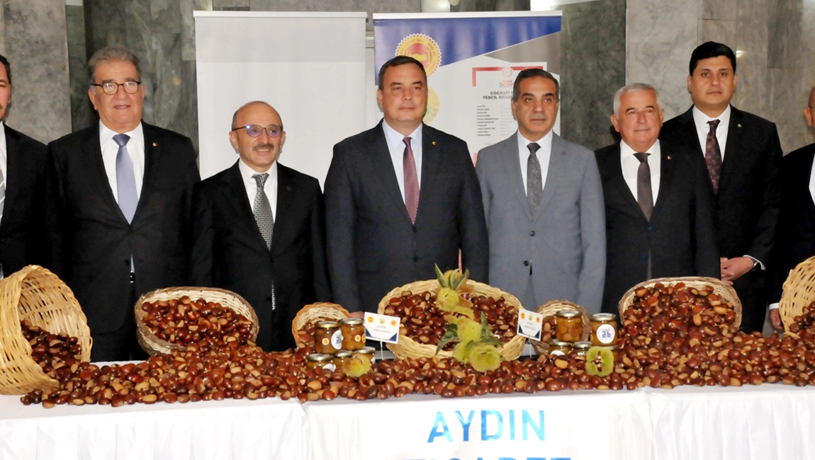 AYDIN’DA SEZONUN İLK KESTANESİ KİLOSU 550 TL’DEN ALINDI