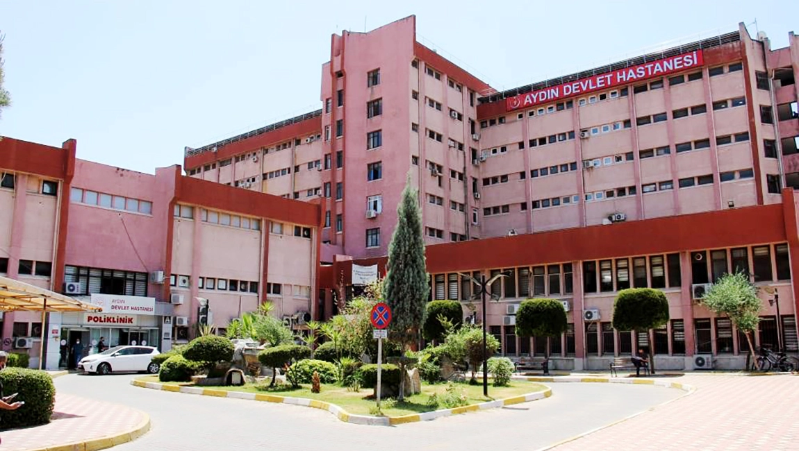 AYDIN’DA UYUZ SALGINI