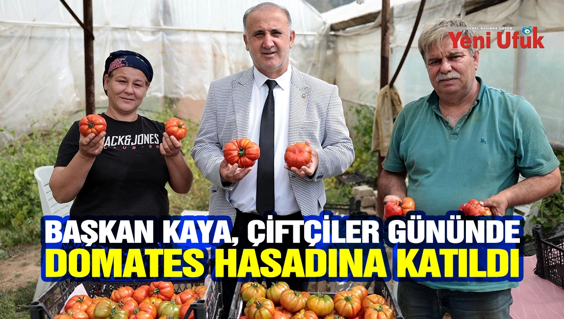 BAŞKAN KAYA, &Ccedil;İFT&Ccedil;İLER G&Uuml;N&Uuml;NDE DOMATES HASADINA KATILDI