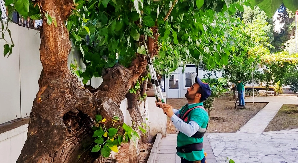Başkan Yetişkin'le yeşil alanlarda temizlik ve düzen hakim