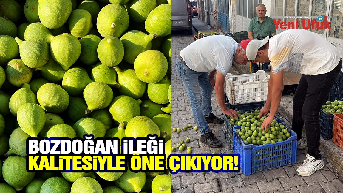 Bozdoğan İleği Kalitesiyle &Ouml;ne &Ccedil;ıkıyor!