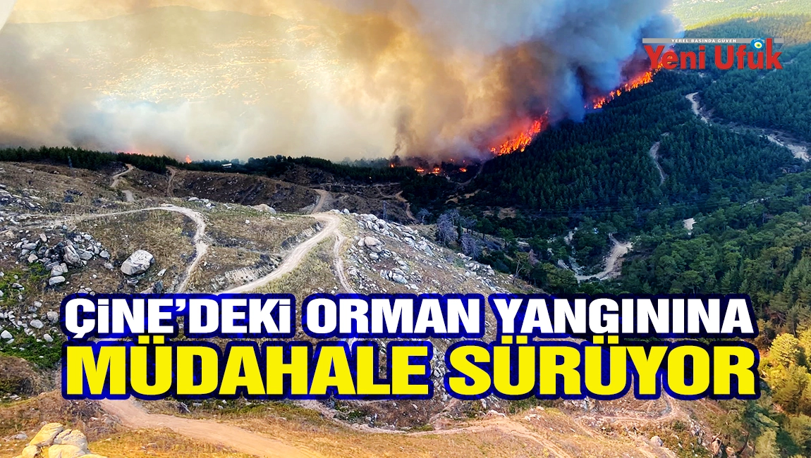 &Ccedil;ine&rsquo;deki orman yangınına m&uuml;dahale s&uuml;r&uuml;yor