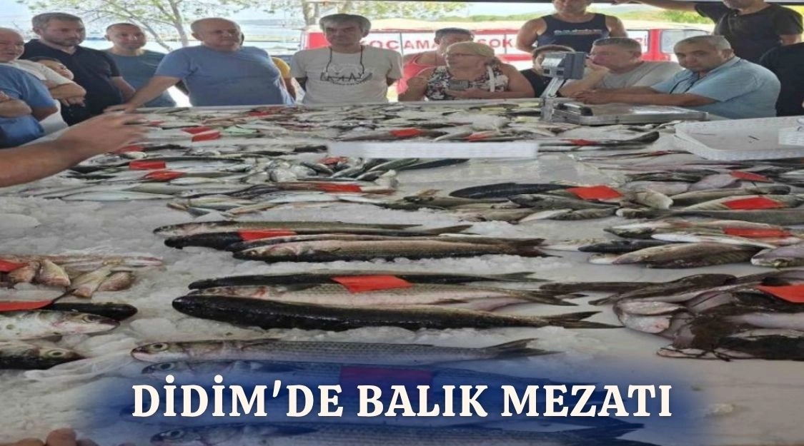 DİDİM'DE BALIK MEZATI 