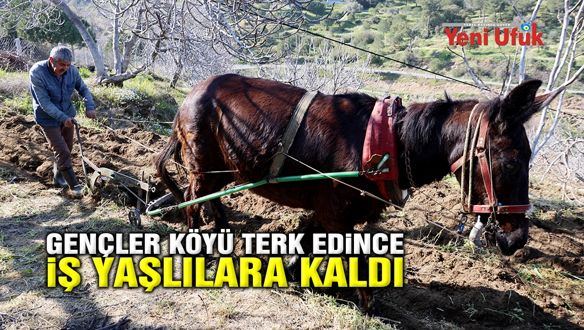 Gen&ccedil;ler k&ouml;y&uuml; terk edince iş yaşlılara kaldı