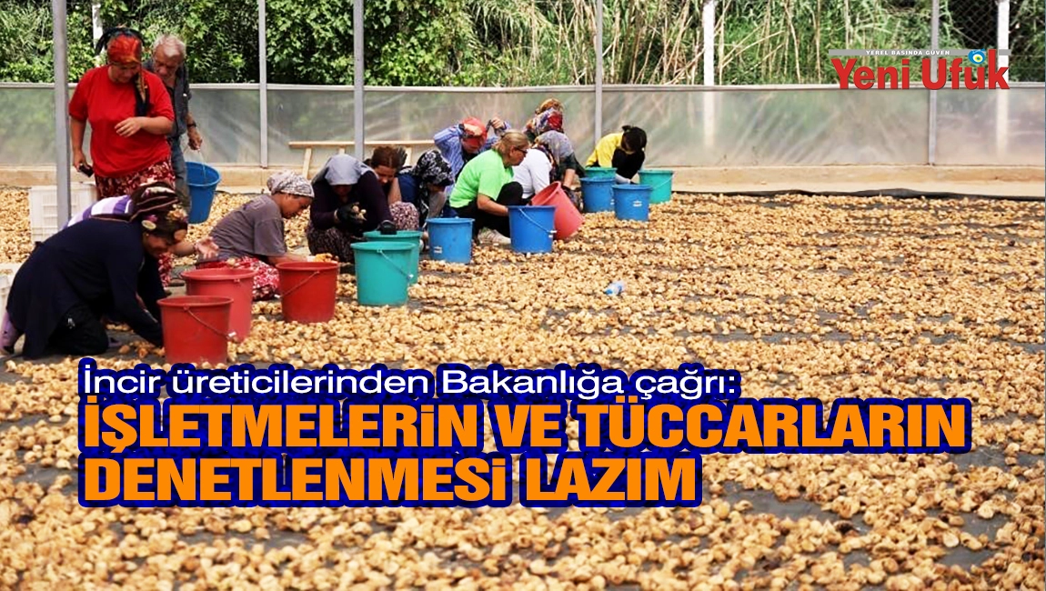 İncir &uuml;reticilerinden Bakanlığa &ccedil;ağrı: İşletmelerin ve t&uuml;ccarların denetlenmesi lazım