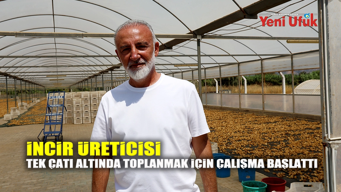 İncir üreticisi tek çatı altında toplanmak için çalışma başlattı