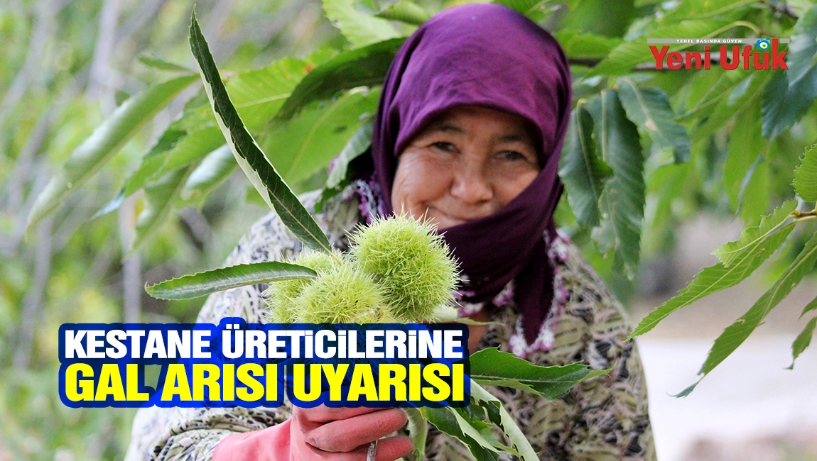 Kestane &uuml;reticilerine gal arısı uyarısı