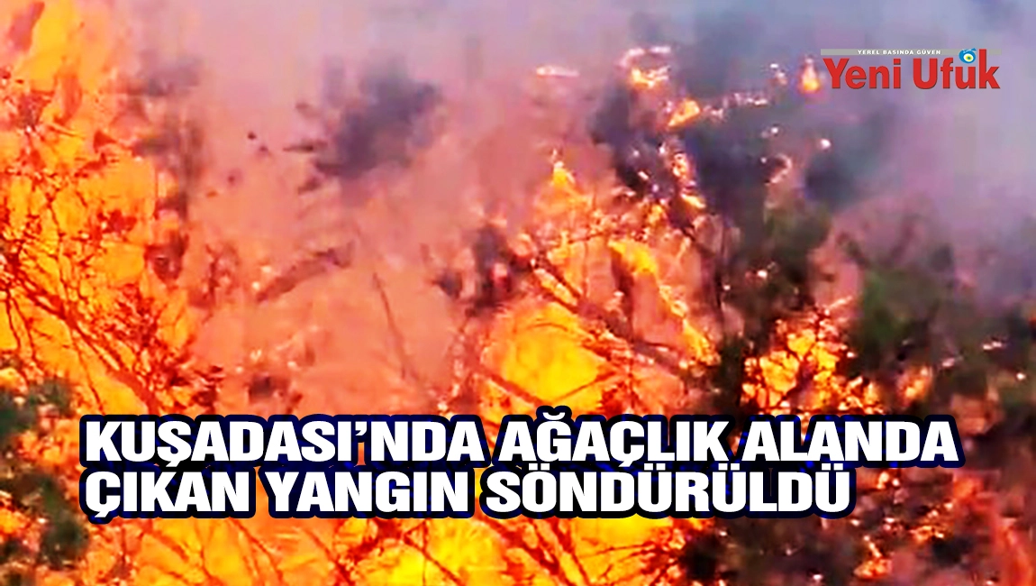 Kuşadası&rsquo;nda ağa&ccedil;lık alanda &ccedil;ıkan yangın b&uuml;y&uuml;meden s&ouml;nd&uuml;r&uuml;ld&uuml;