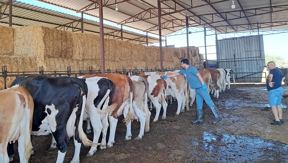 Nazilli’de 13 mahalle karantinaya alındı