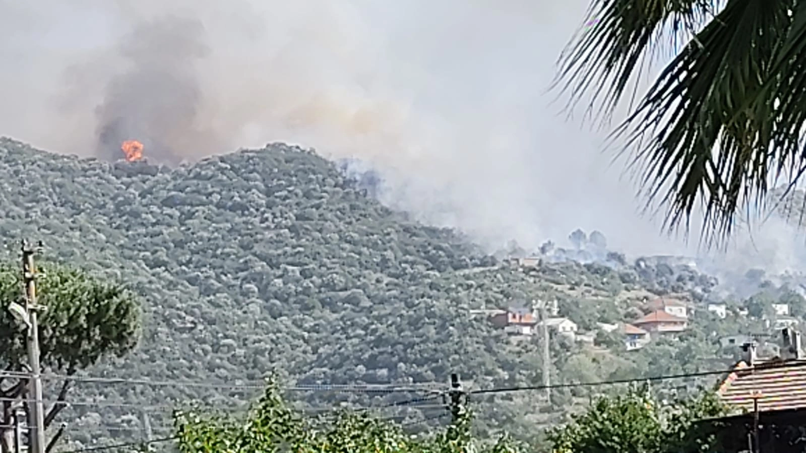SÖKE KARDAK MEVKİ YANIYOR 