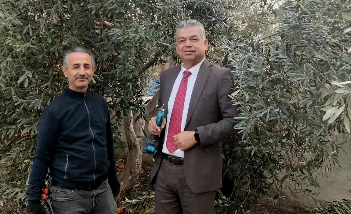 SULTANHİSAR&rsquo;DA ZEYTİN BUDAMA KURSU BAŞLADI