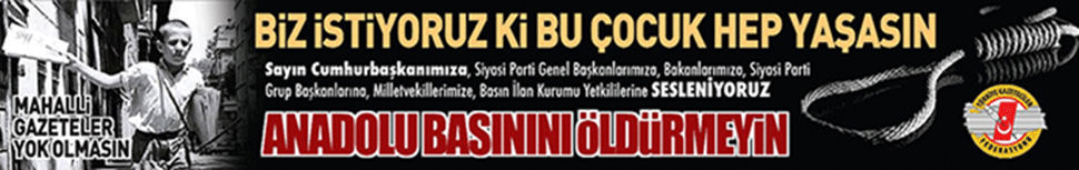 Anadolu Basını