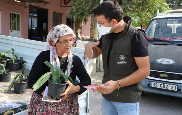 Aydın Büyükşehir Belediyesi Ejder meyvesi fidesi dağıttı
