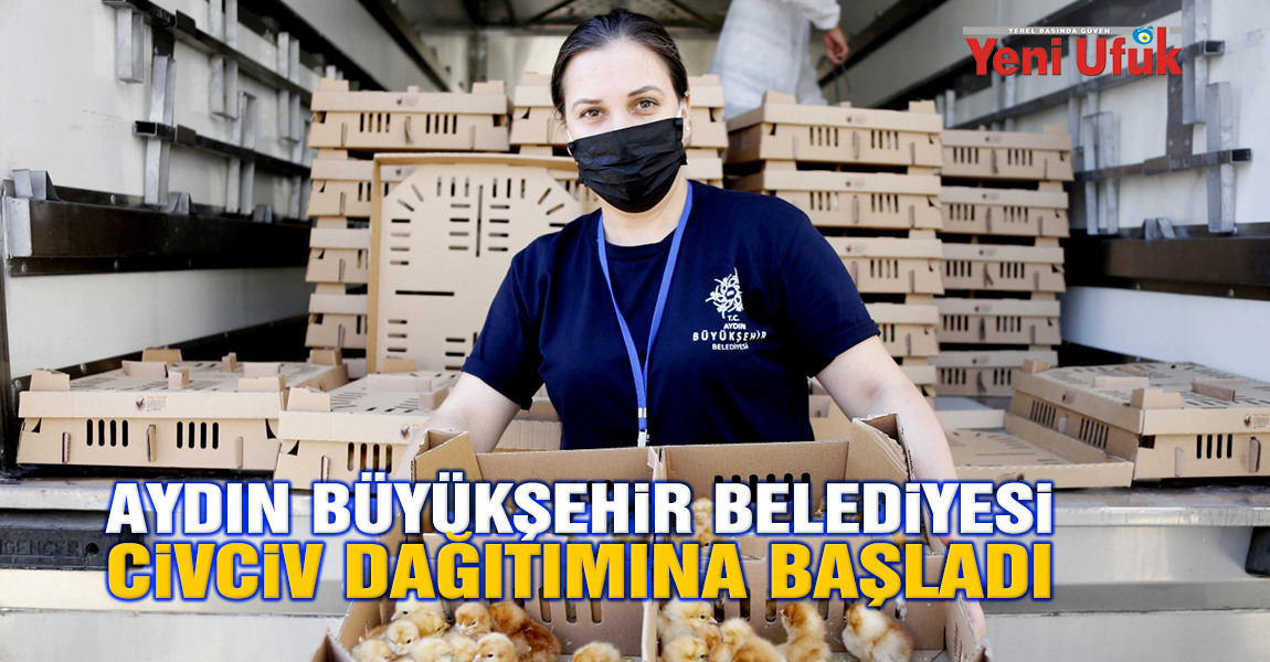 Aydın Büyükşehir Belediyesi Civciv Dağıtımına Başladı